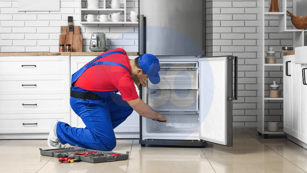 Dörtdivan Buzdolabı Servisi